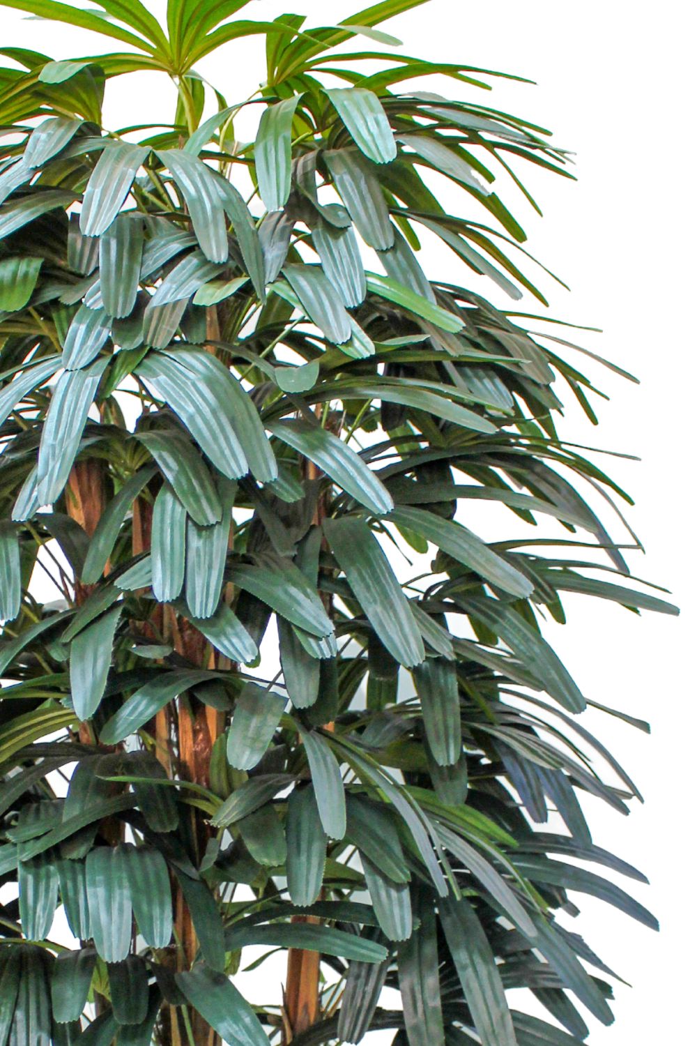 Raphis palmier artificiel 180 cm