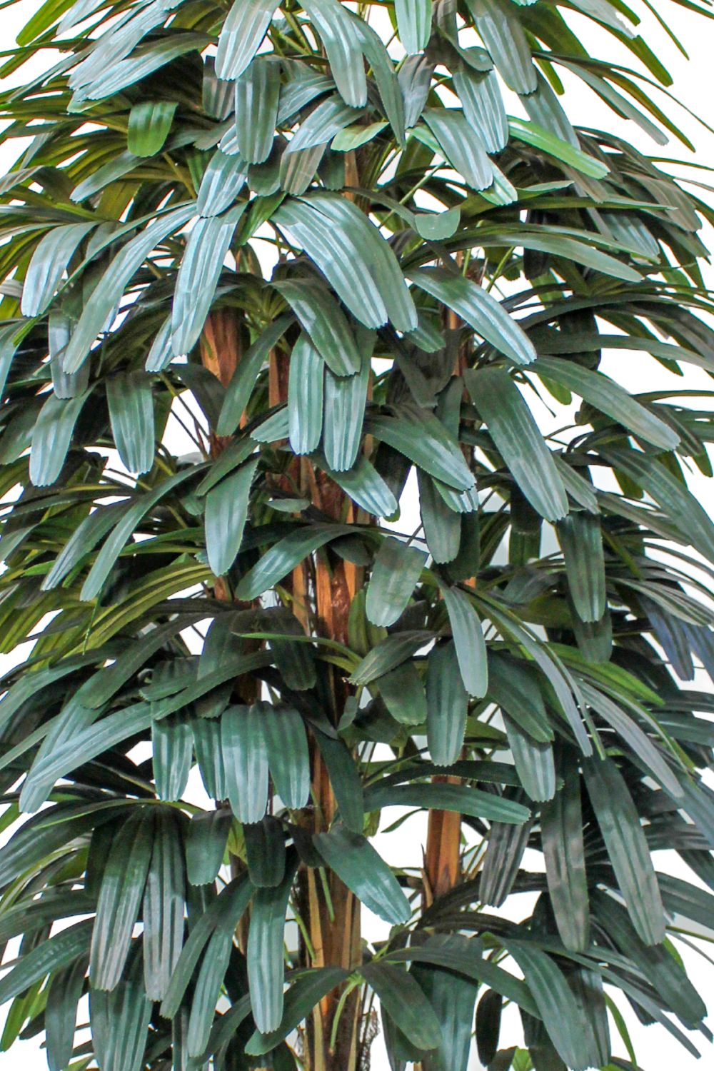 Raphis palmier artificiel 180 cm