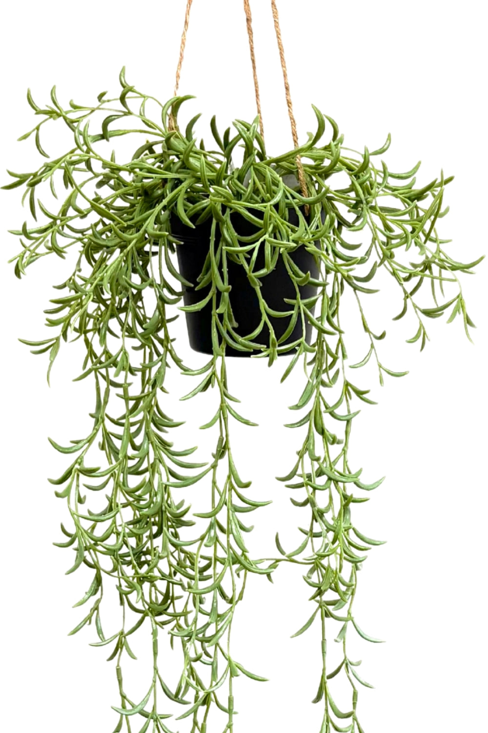 Plante artificielle suspendue Romarin 70 cm