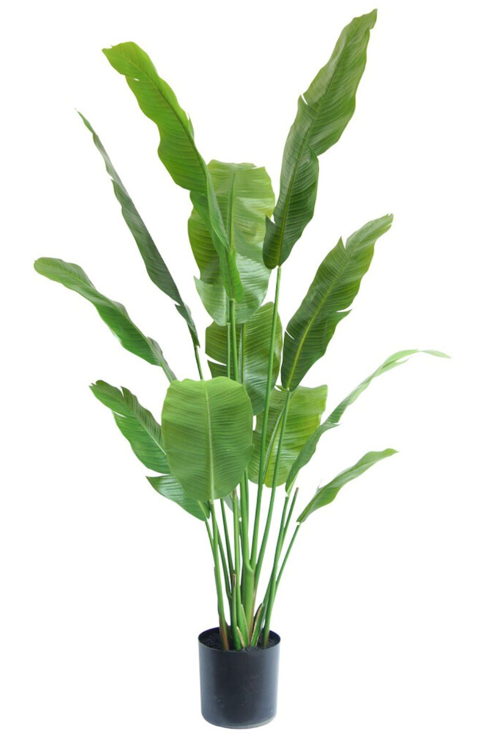 Strelitzia Artificielle 165cm