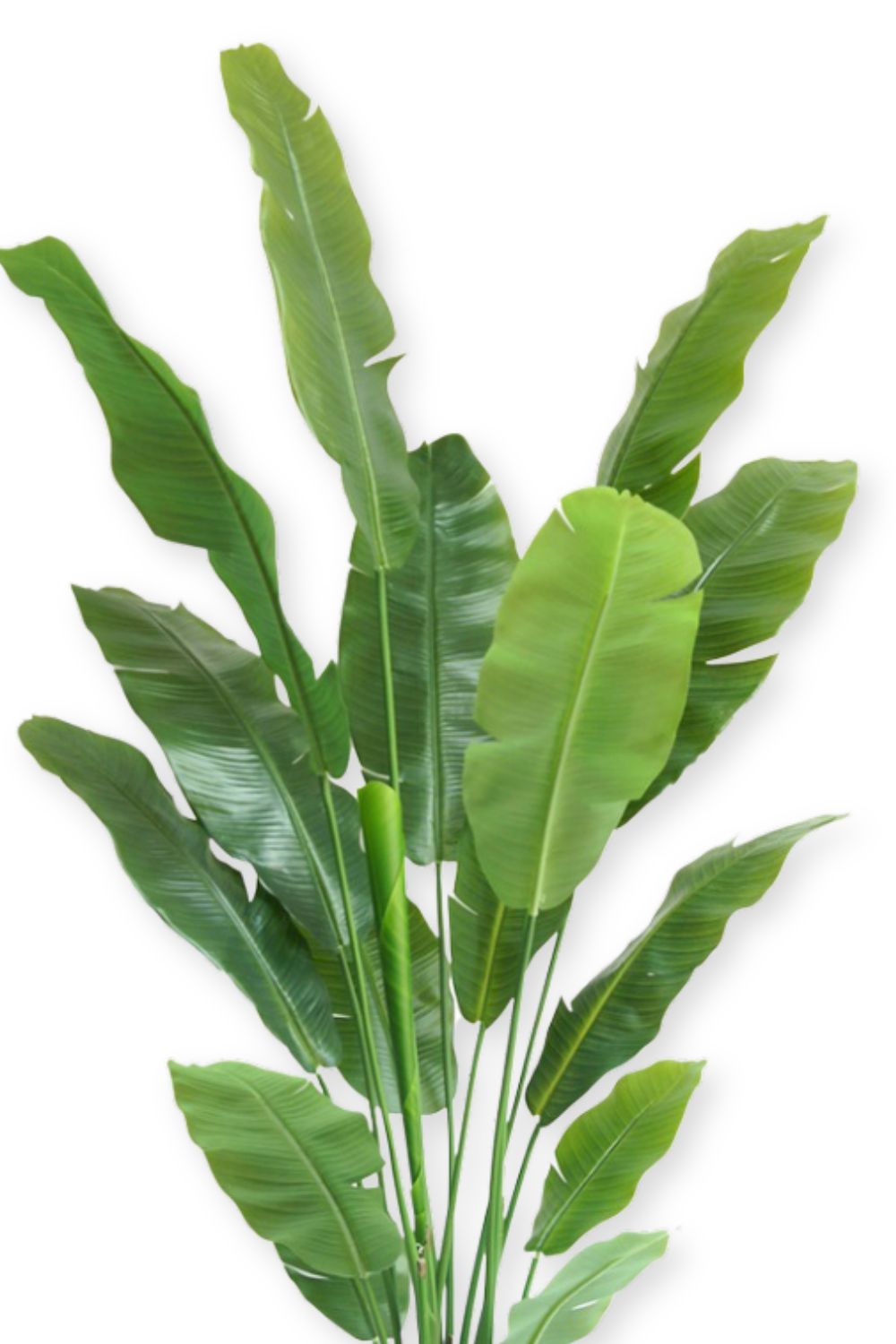 Plante Artificielle Strelitzia 180 cm Deluxe