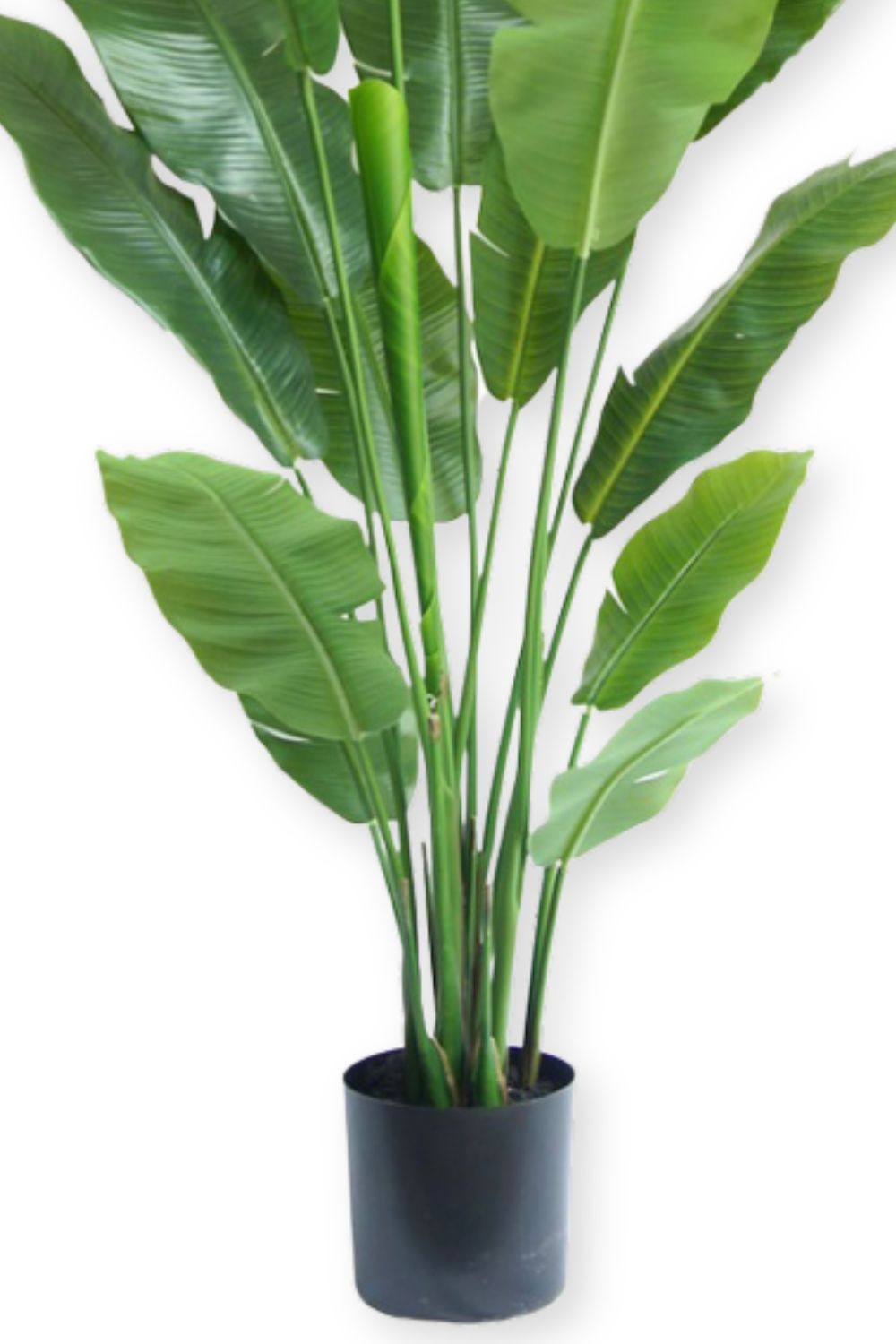 Plante Artificielle Strelitzia 180 cm Deluxe