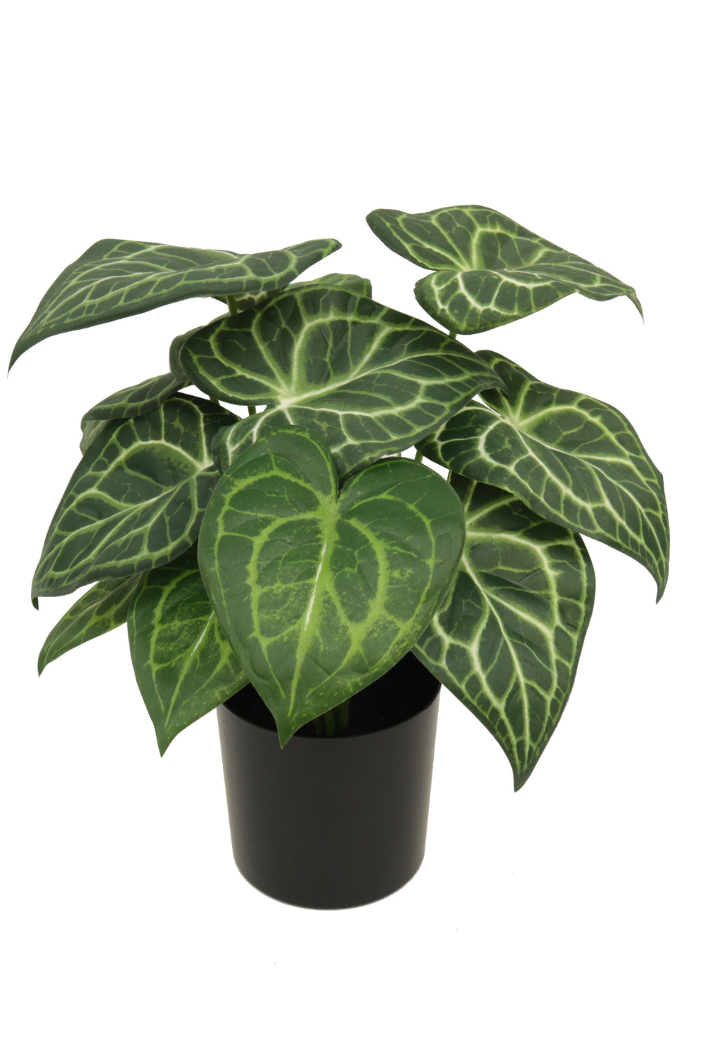 Plante artificielle Syngonium 30 cm