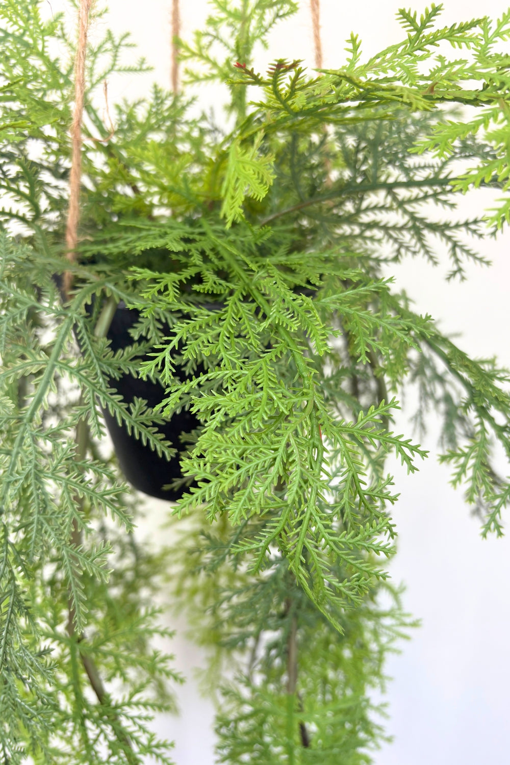 Plante artificielle suspendue Fougère 100 cm