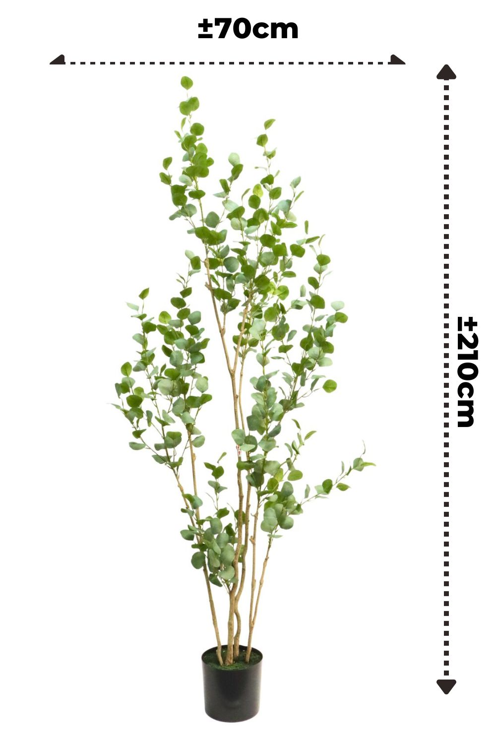 Dimensions de l’Eucalyptus Artificiel 210cm