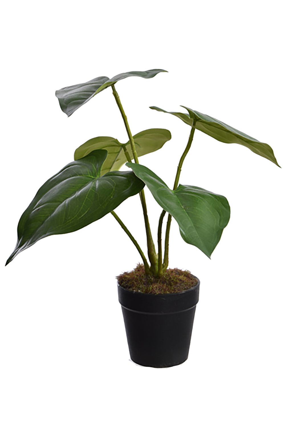 Plante Artificielle Anthurium 30 cm