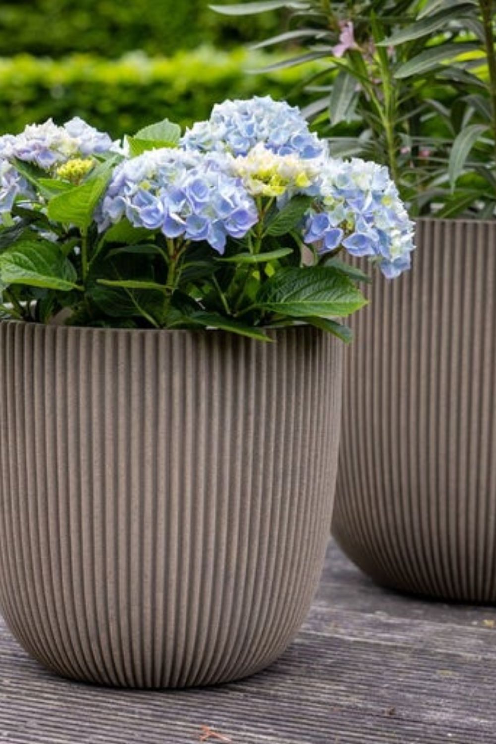 Photo d’ambiance du Pot de fleur Capi Groove boule 35x34 Warm Taupe