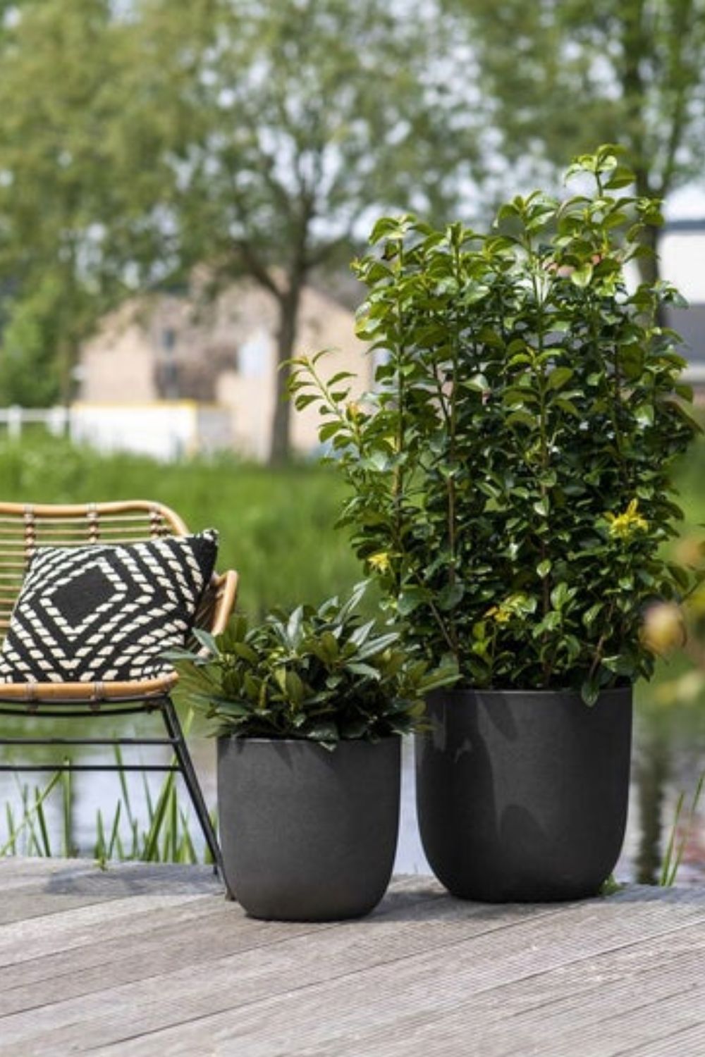 Photo d’ambiance du Pot de fleur Capi Smooth boule 35x34 Noir