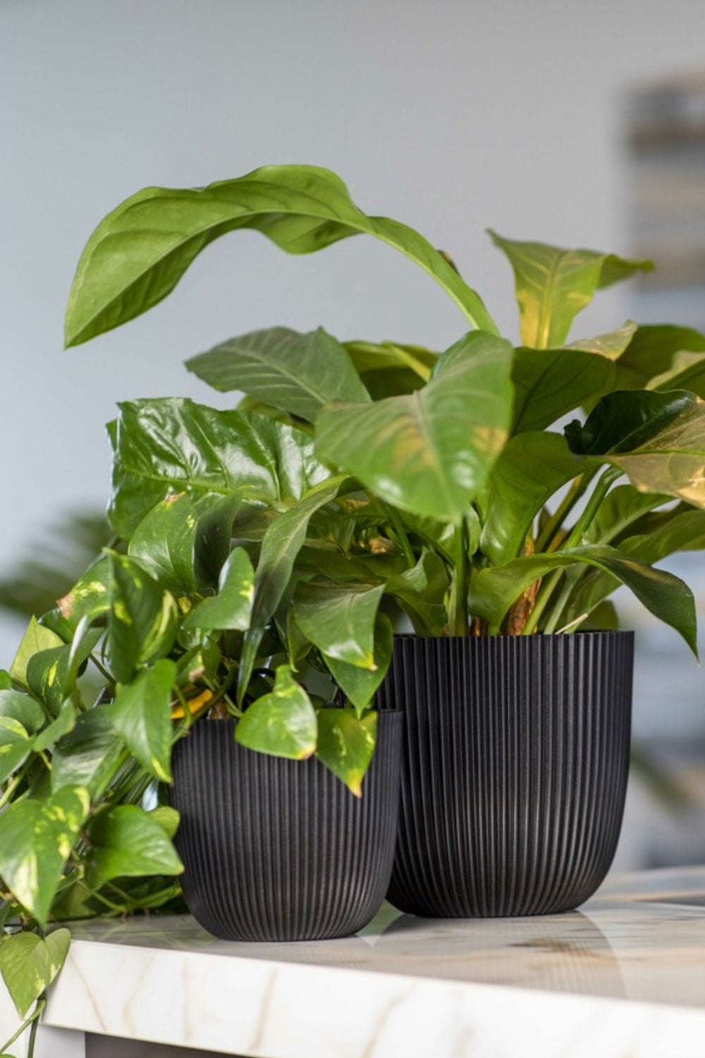 Photo d’ambiance du Pot de fleur Capi Groove boule 16,5x15 Textile Noir