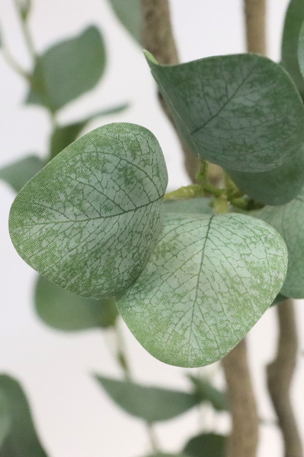 Détails des feuilles de l’Eucalyptus Artificiel 210cm