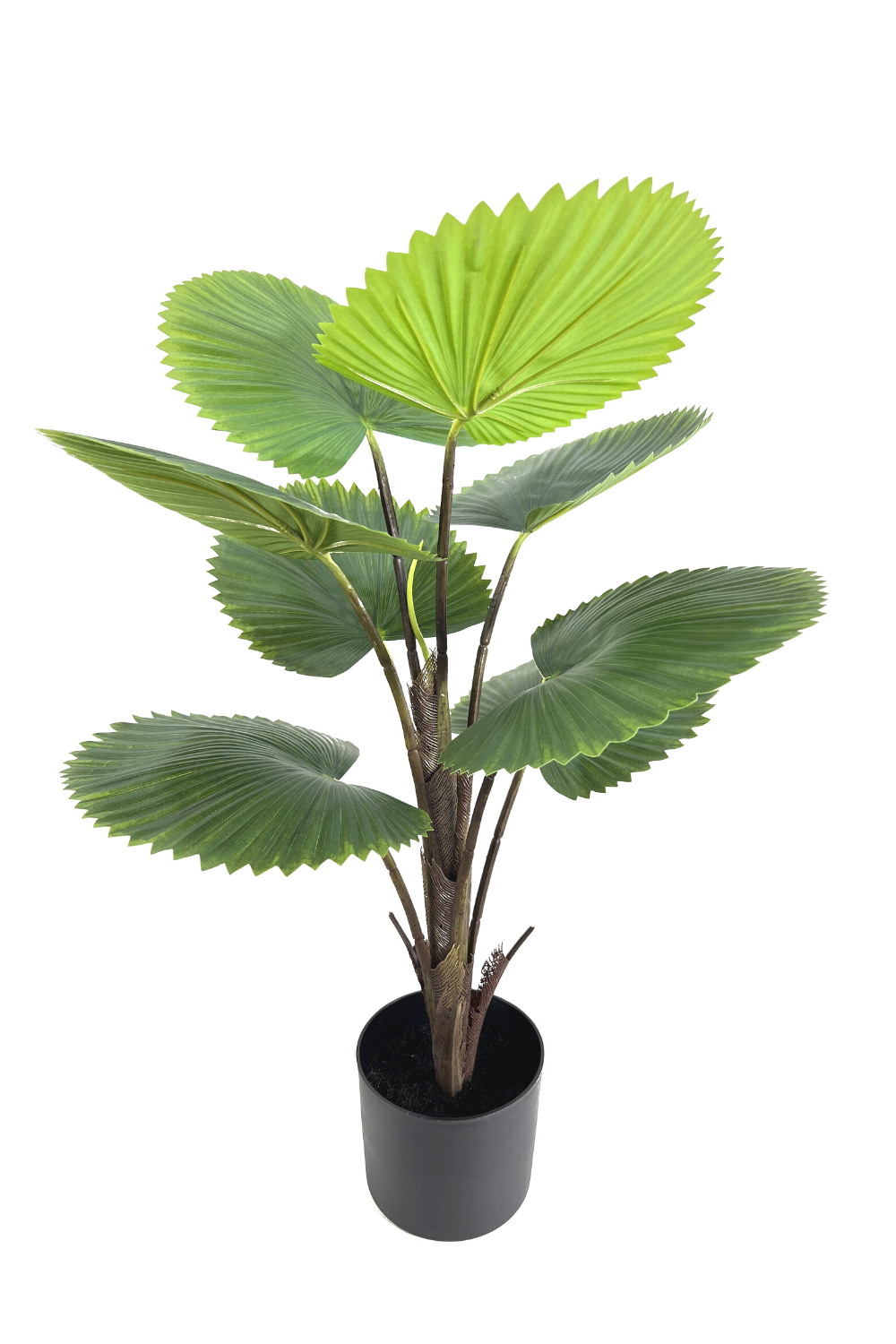 Palmier Éventail Artificiel 75cm