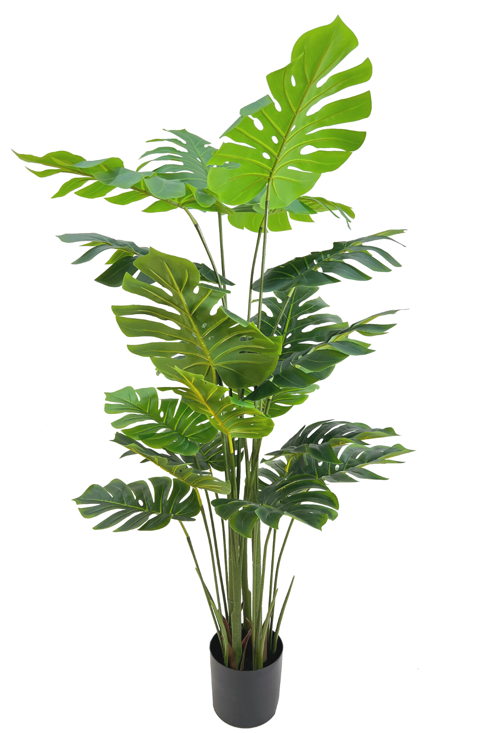 Monstera Artificielle 165cm