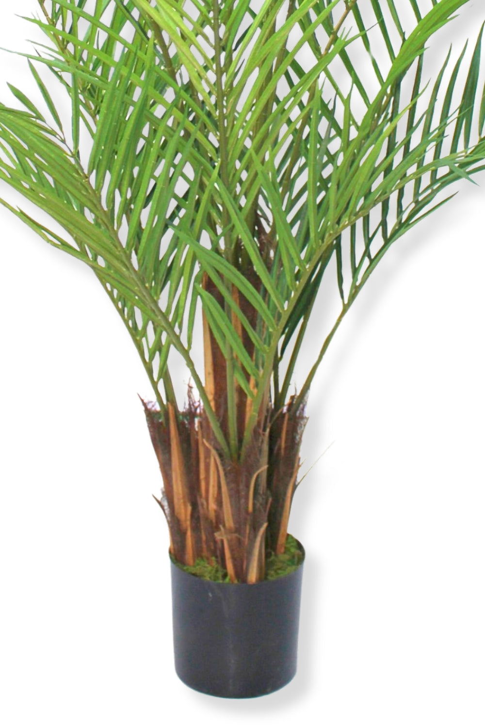 Détails du Palmier Artificiel 180cm