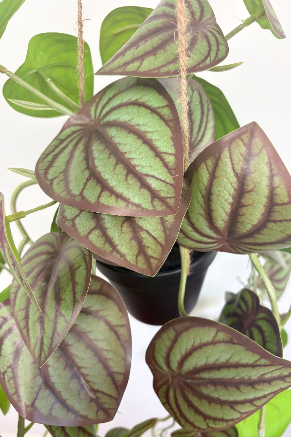 Plante Artificielle Suspendue Pothos 70 cm