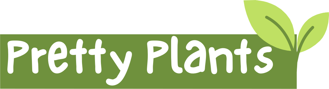Prettyplants.fr