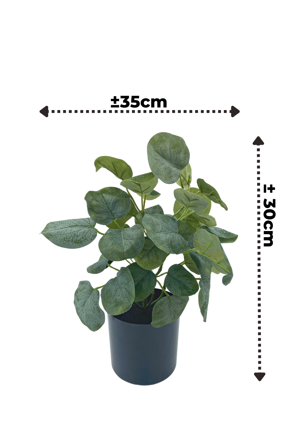 Plante Artificielle Polyscias 30cm