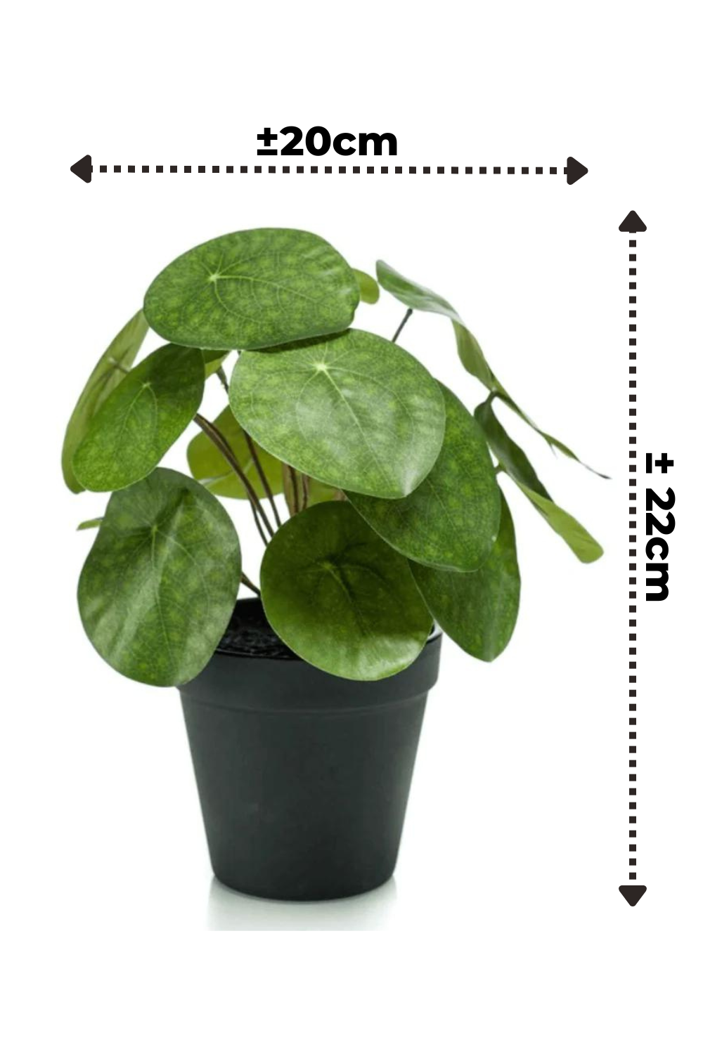 Pilea Artificielle 22cm