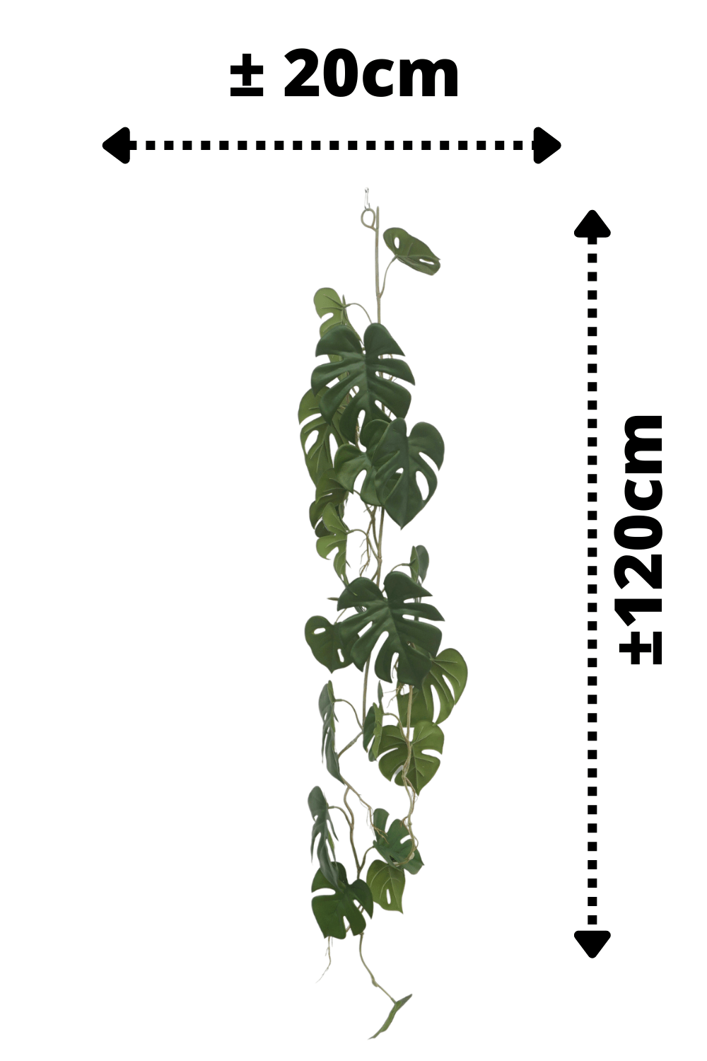 afmetingen Monstera Kunstslinger 120cm