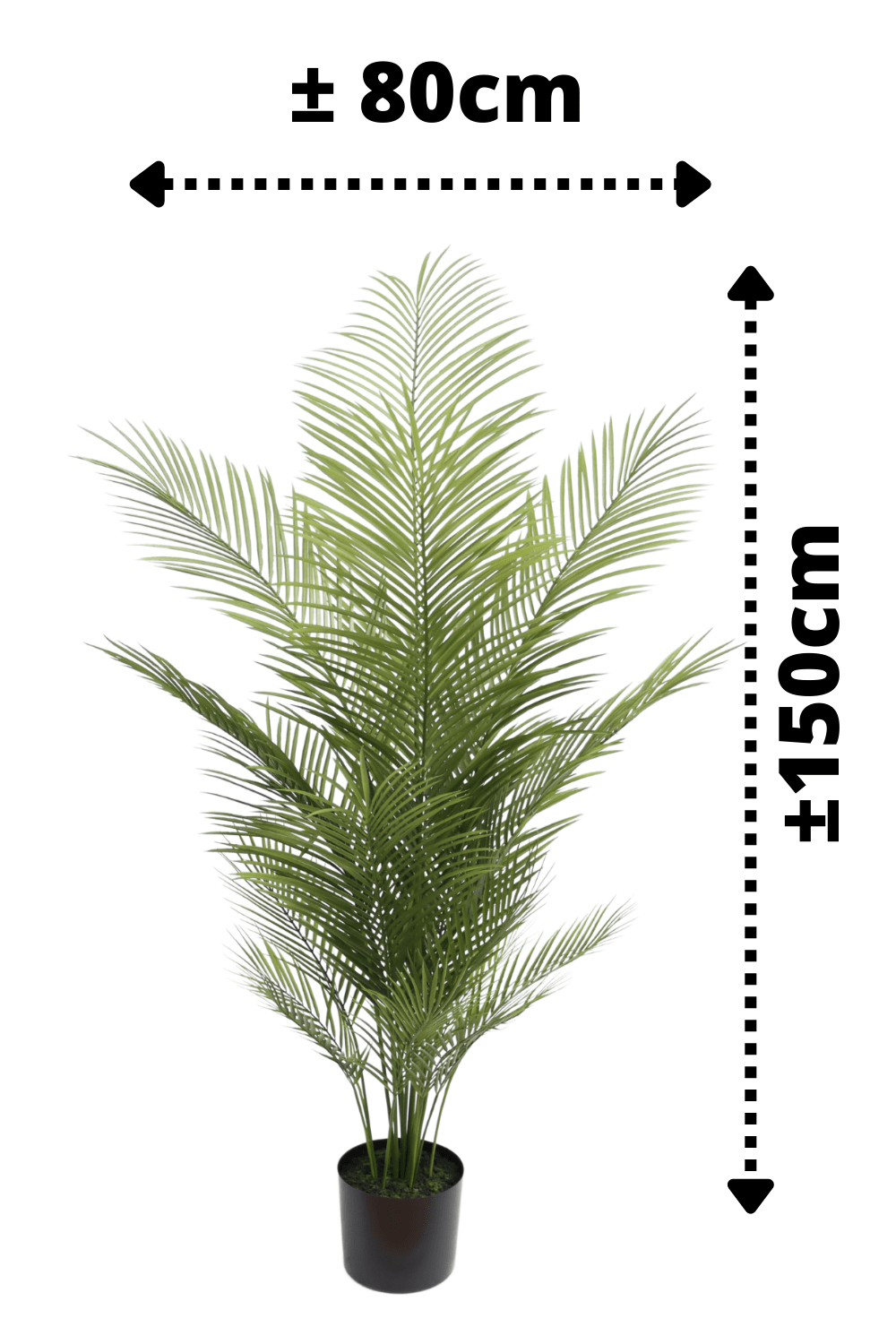 afmetingen Kunstpalm 3 150cm