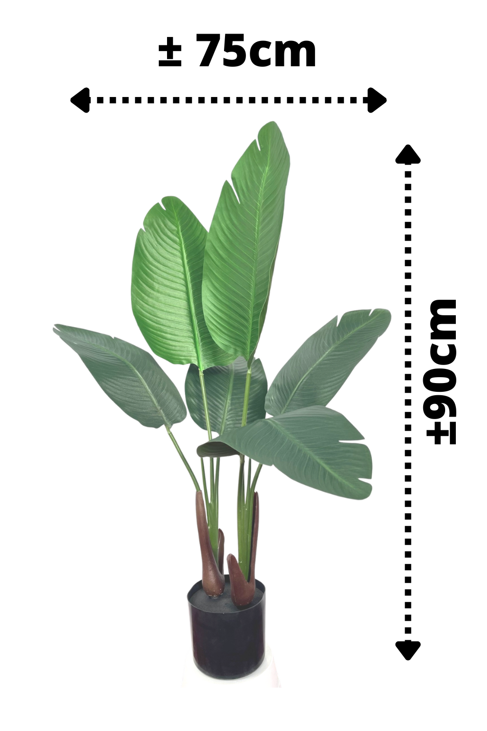 afmetingen Strelitzia Kunstplant 90cm