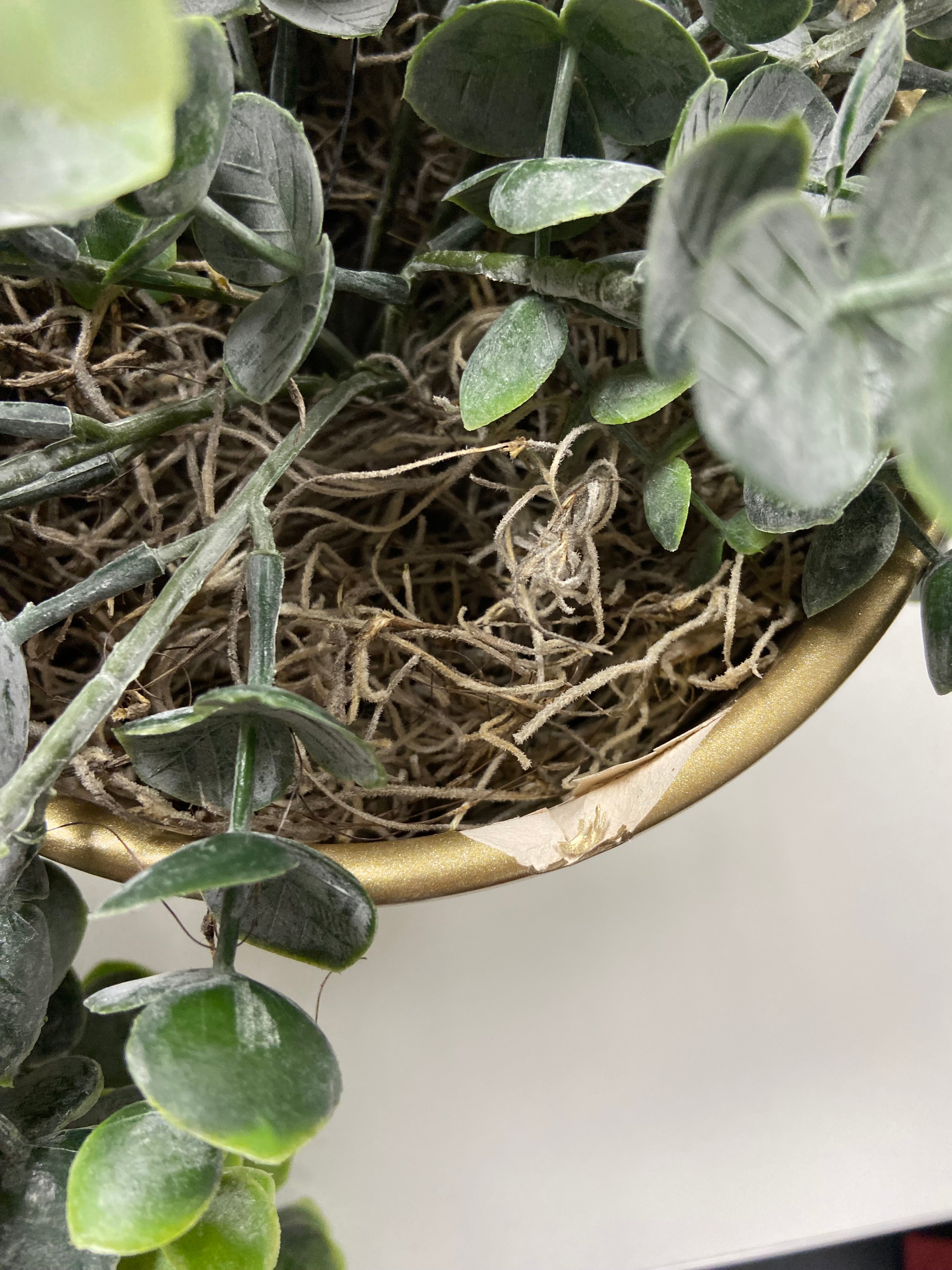 Eucalyptus artificiel à suspendre en pot doré 75cm