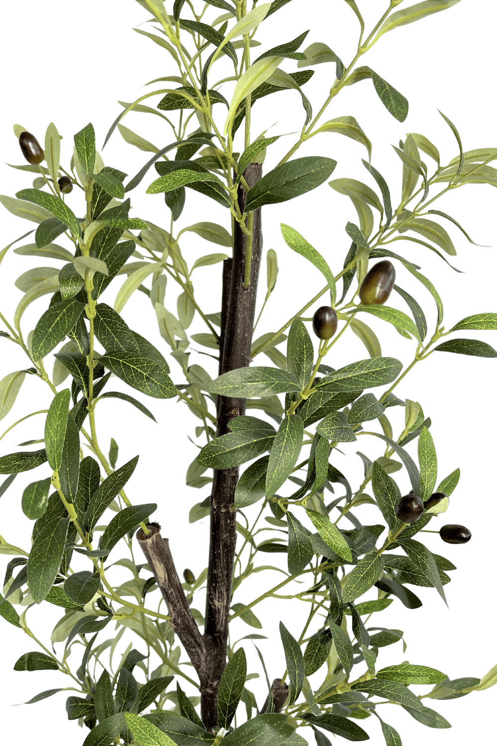 bovenzijde Kunst Olijfboom 170cm