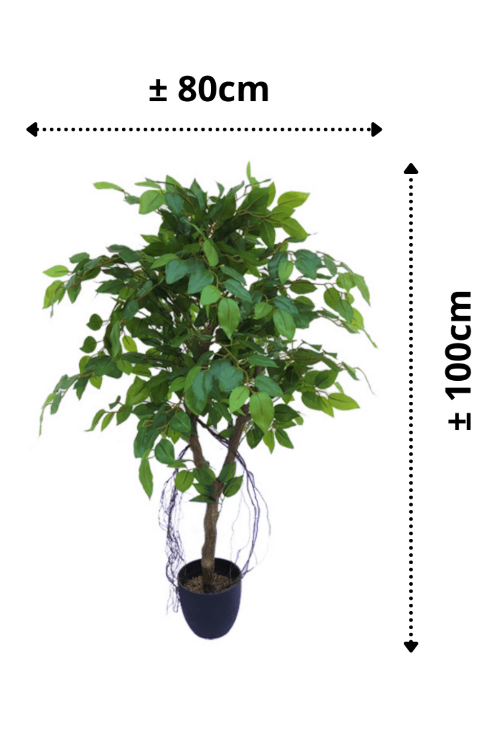 afmetingen Ficus Kunstboom 100cm