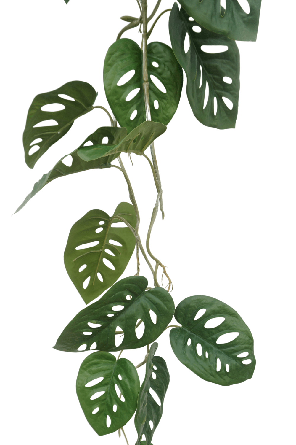 bladeren Monstera Monkey Bush Kunstslinger 120cm