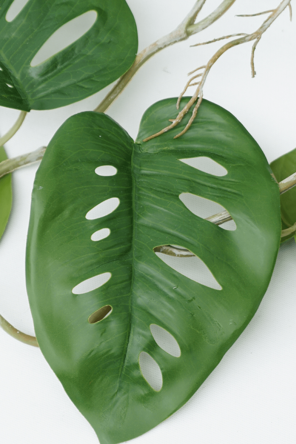 details blad Monstera Monkey Bush Kunstslinger 120cm