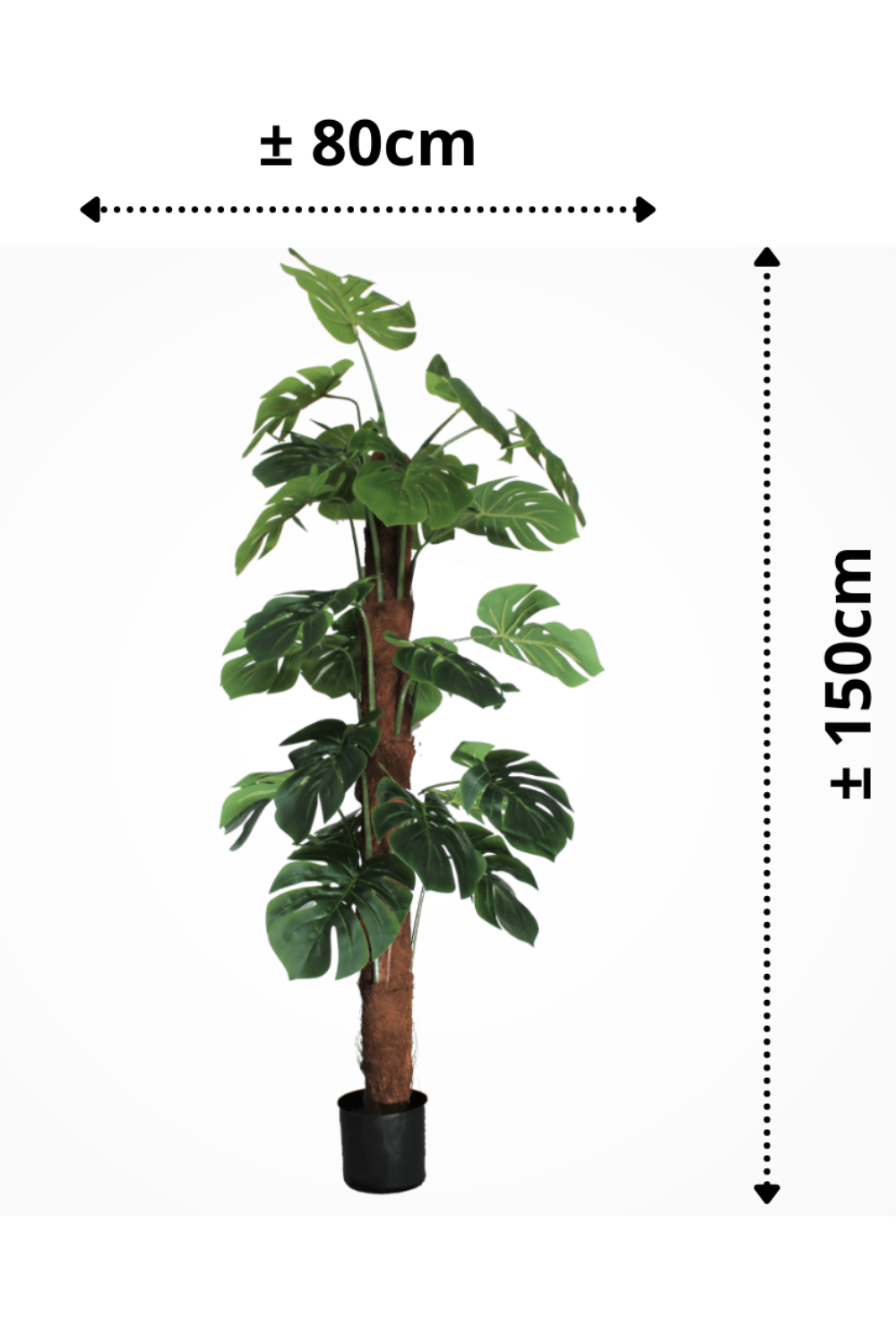 afmetingen Monstera Kunstplant 150cm