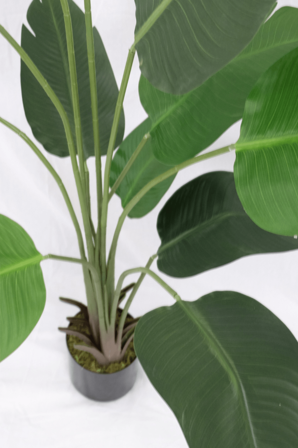 Plante Artificielle Strelitzia 180cm