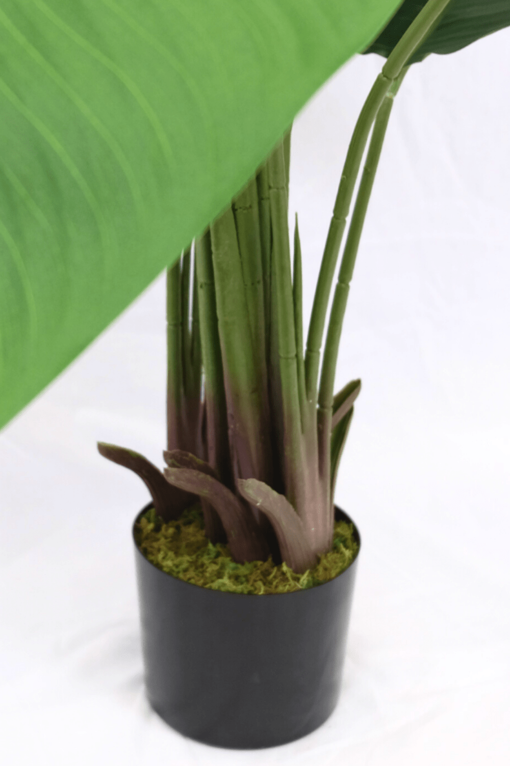 Plante Artificielle Strelitzia 180cm