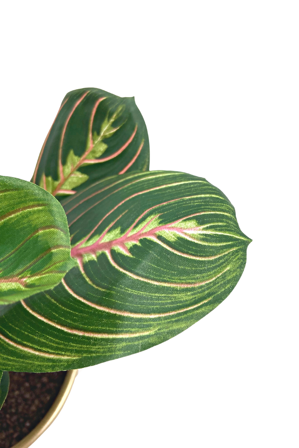 Buisson Artificiel Maranta 30 cm