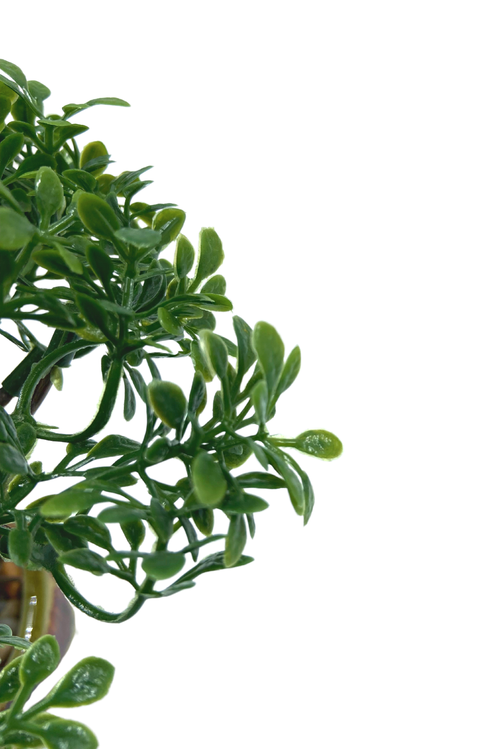 Mini Plante Artificielle Bonsaï 19 cm