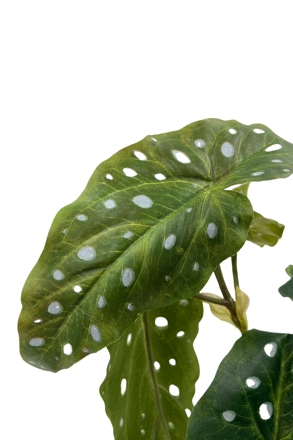 Plante Artificielle Bégonia Maculata 30cm