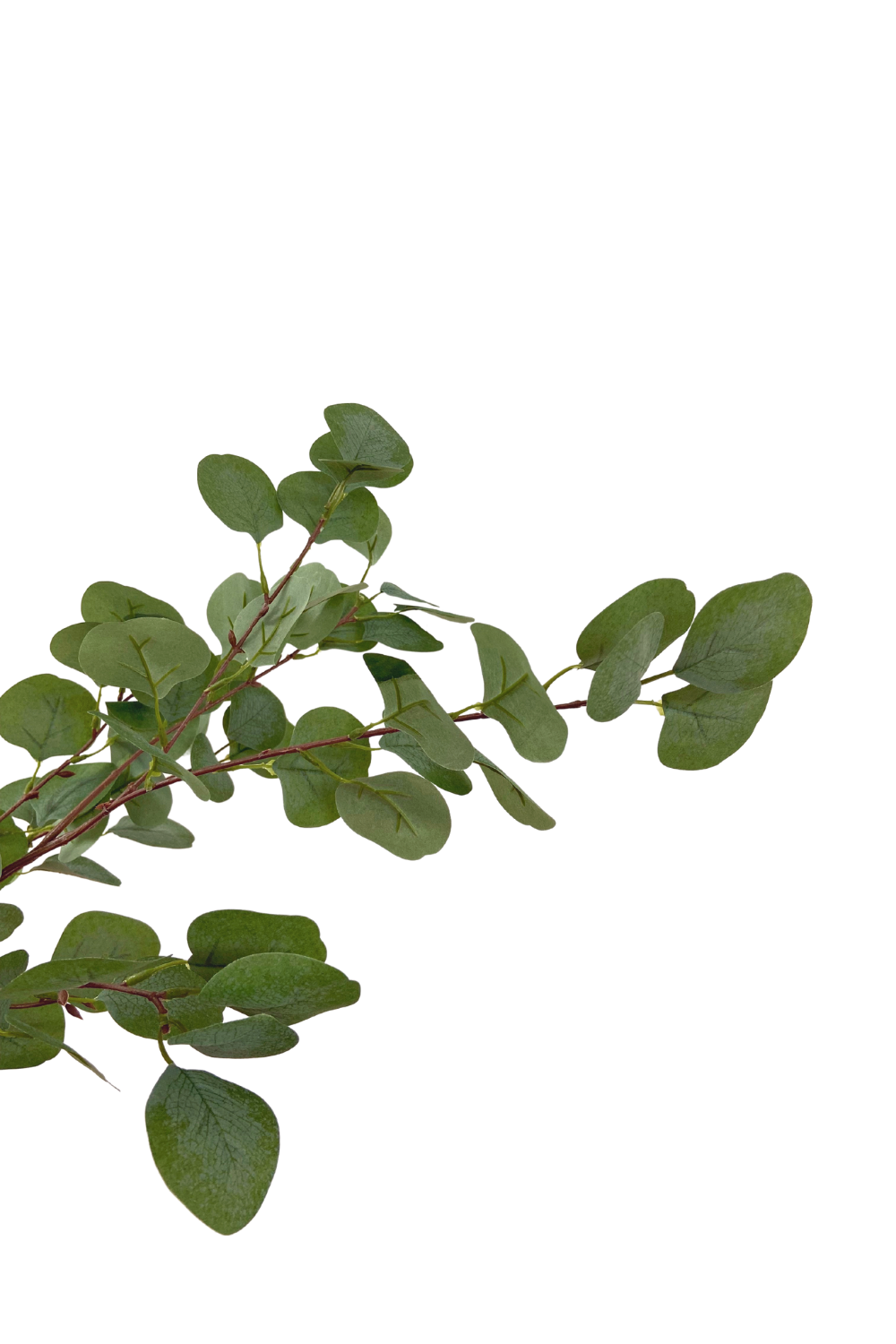 Eucalyptus artificiel 180cm