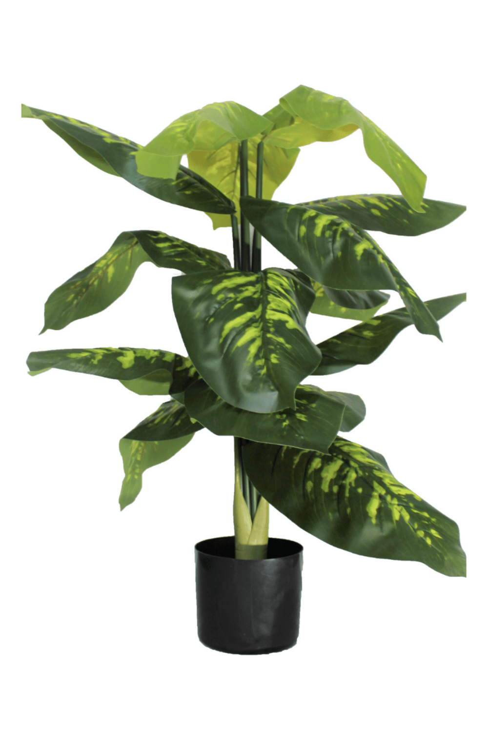 Plante Dieffenbachia Artificielle 90cm