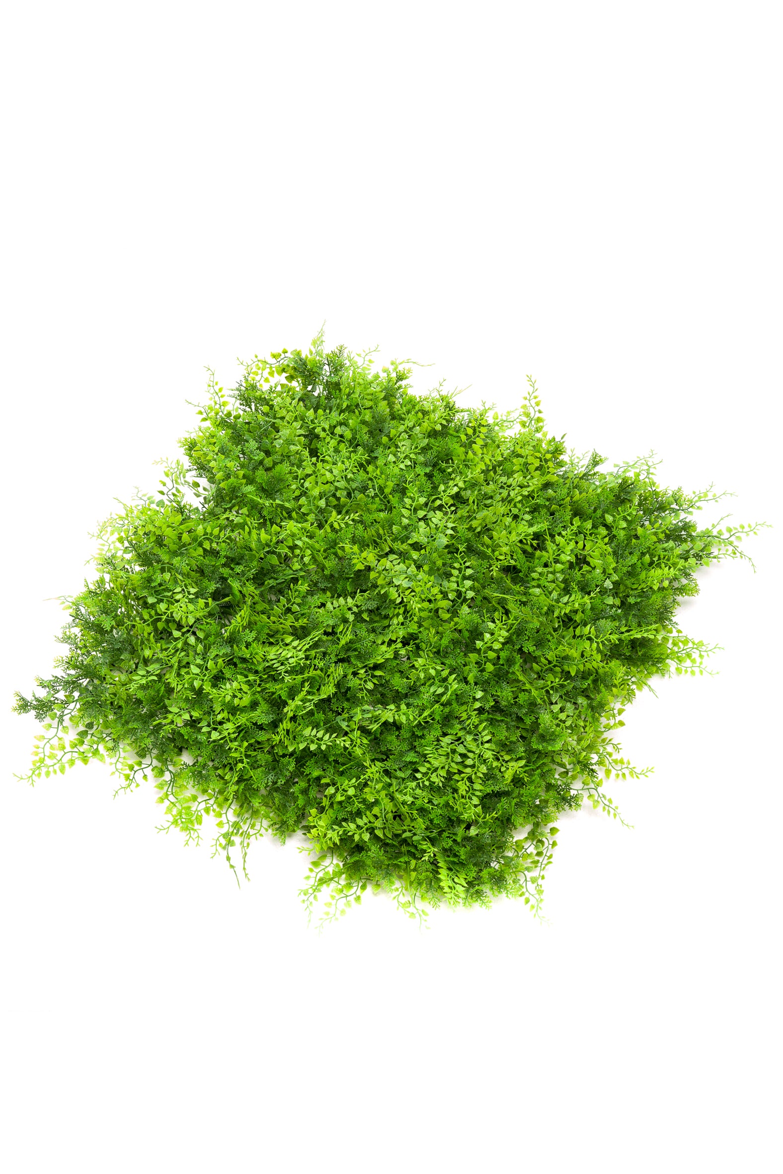 Mur Vegetal Artificiel