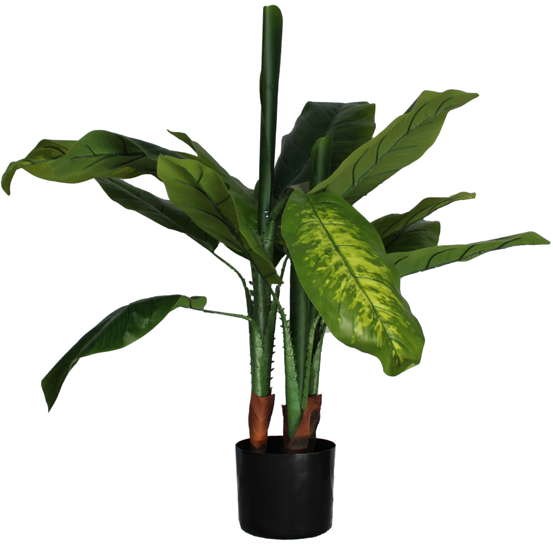 Dieffenbachia articicielle