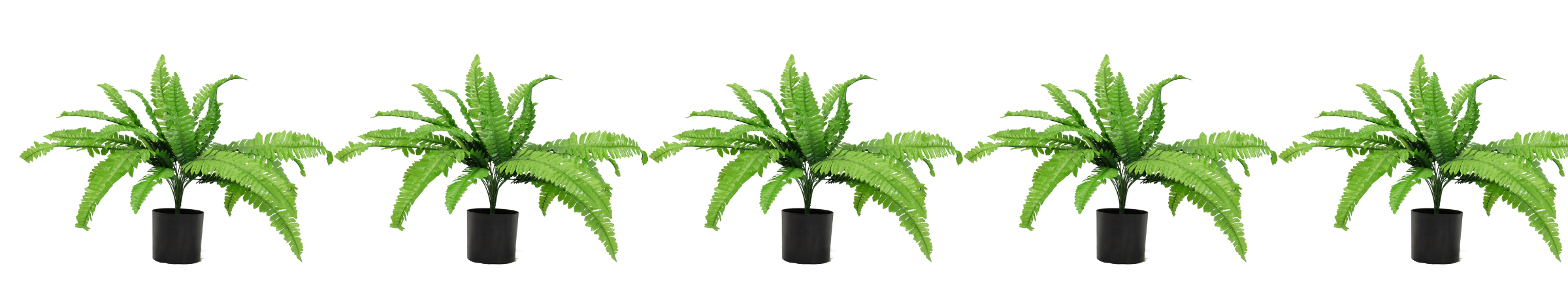 Petites plantes artificielles