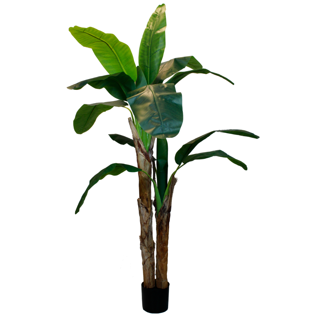 Grandes Plantes Artificielles