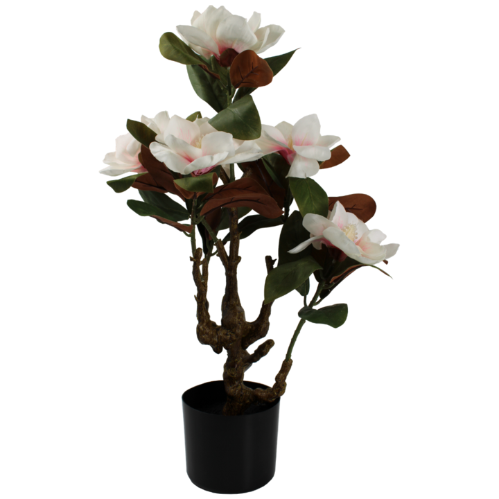 Magnolia Artificielle