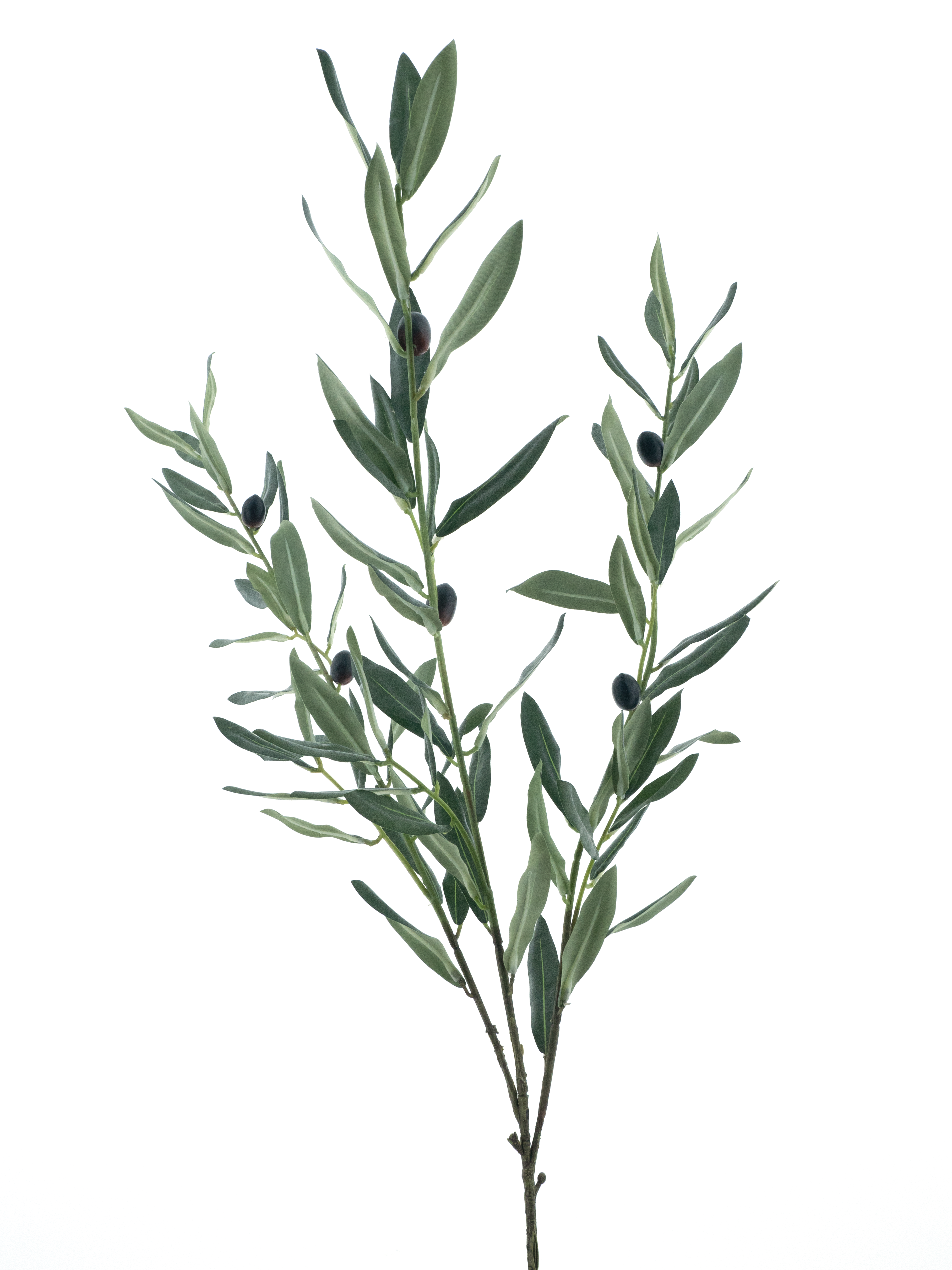 Branche d’Olivier Artificielle 68cm