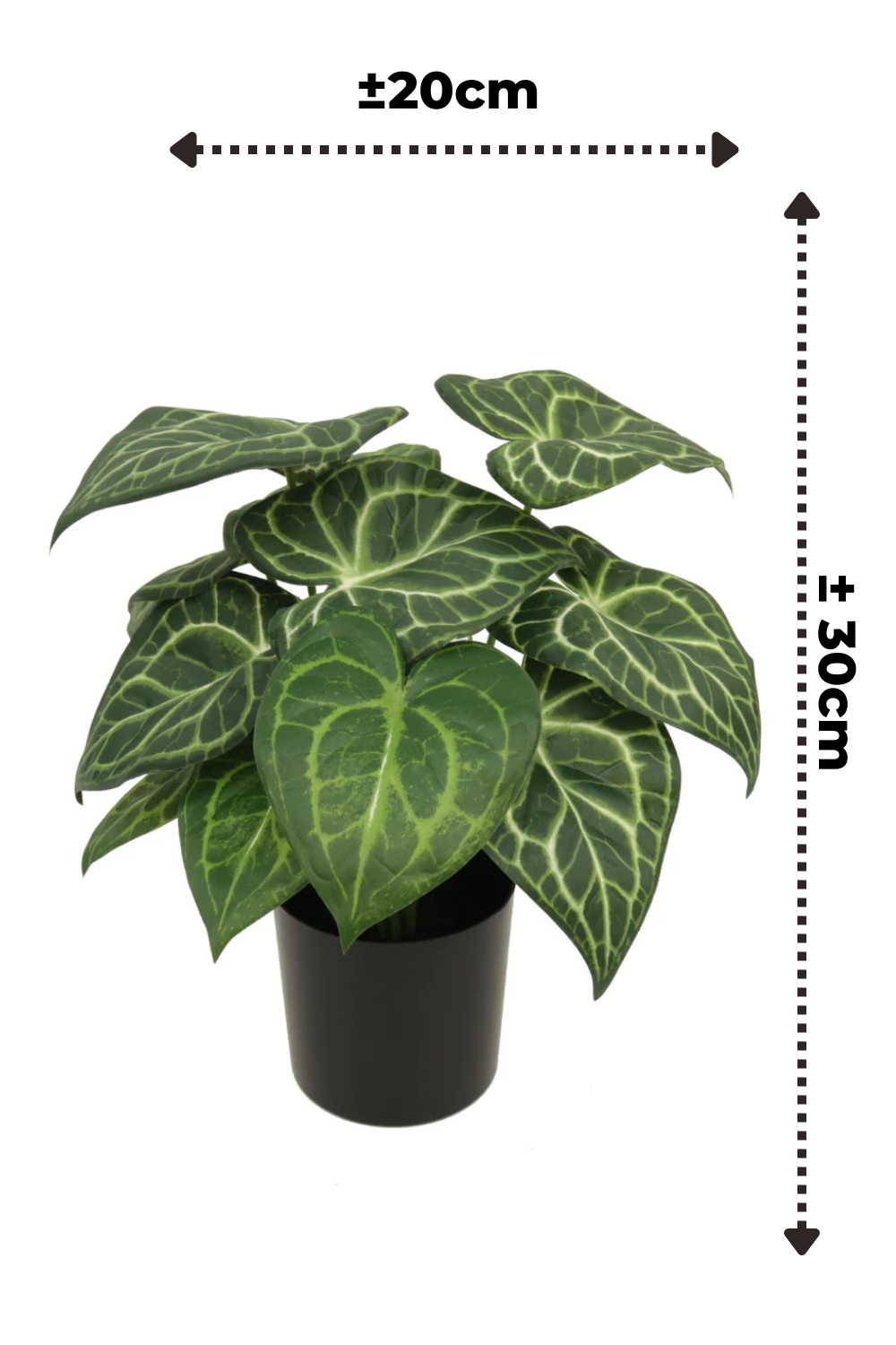 Plante artificielle Syngonium 30 cm