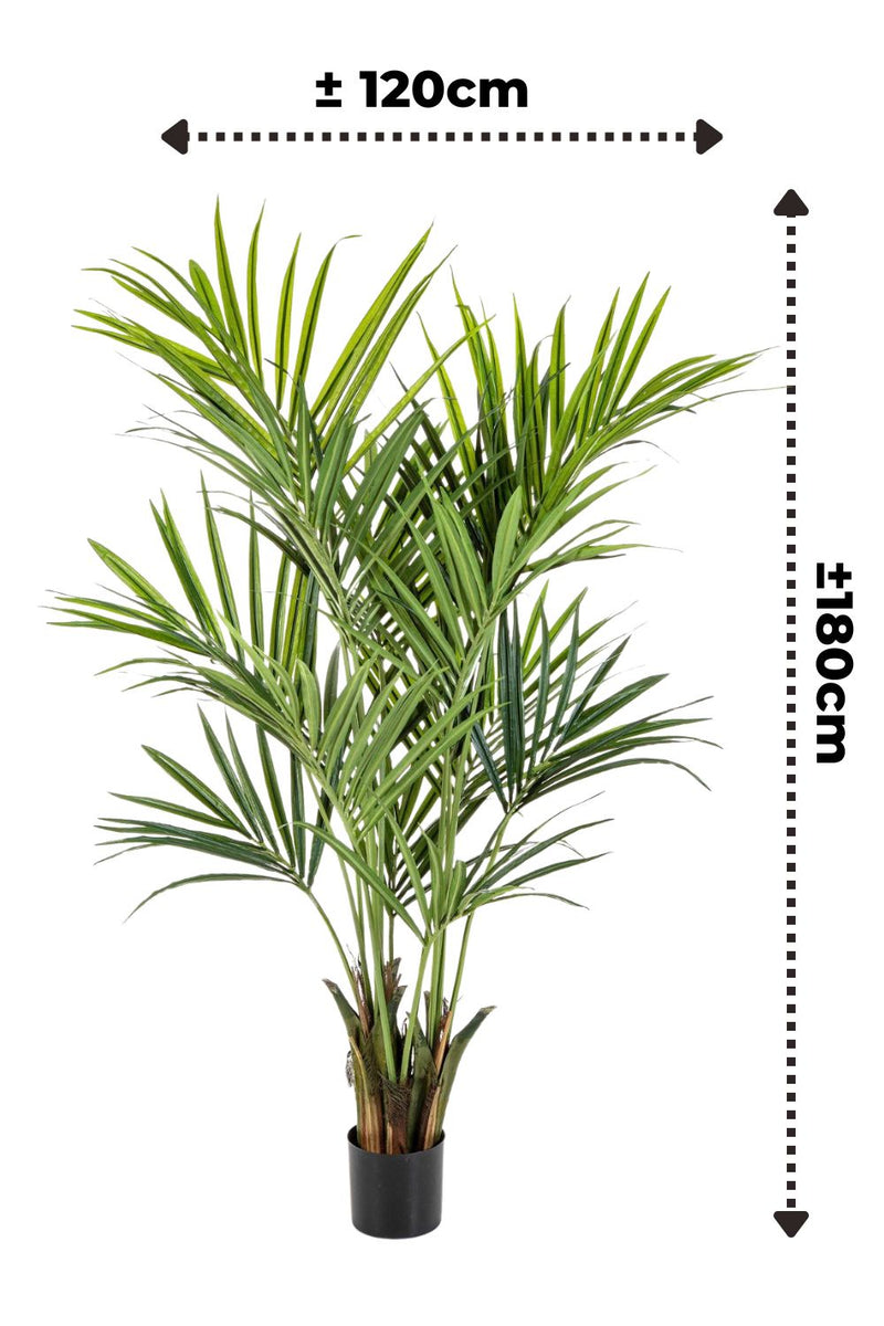 Dimensions du Palmier Kentia Artificiel 180cm