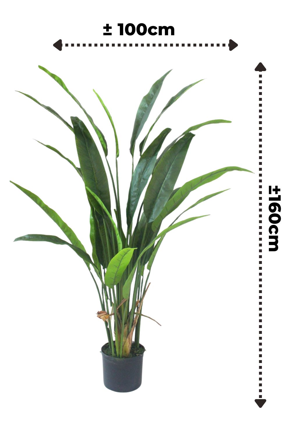 Strelitzia Artificielle 160 cm