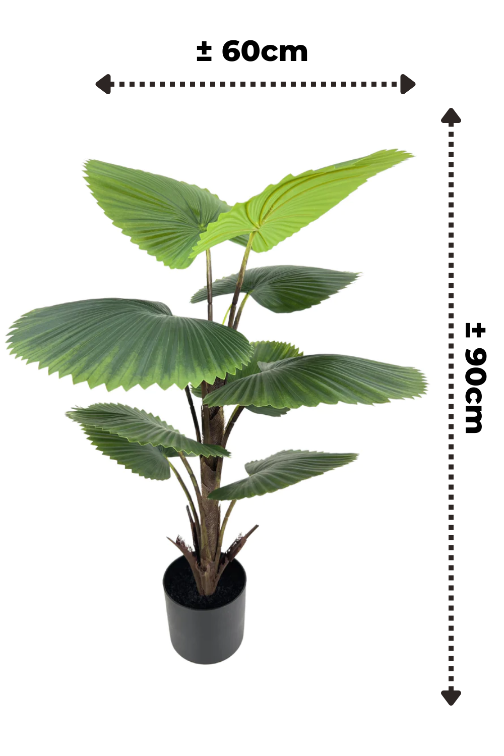 Dimensions du Palmier Éventail Artificiel 90cm