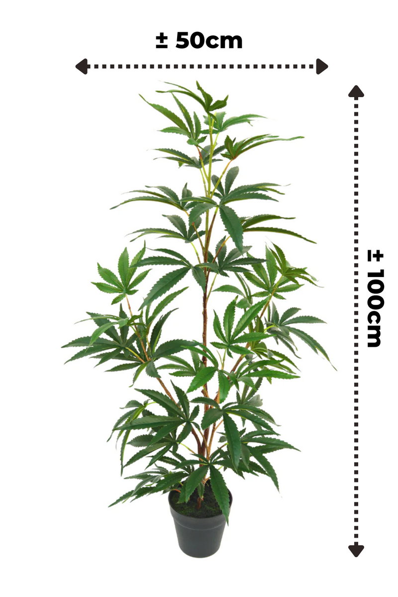Aralia artificielle 100 cm
