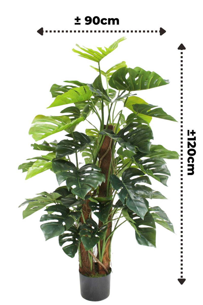 Dimensions de la Monstera Artificielle 120cm