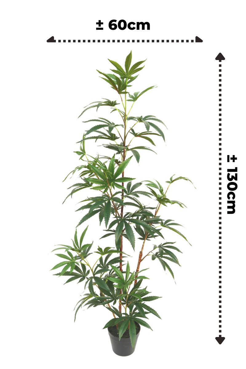 Dimensions Aralia Artificielle 130cm